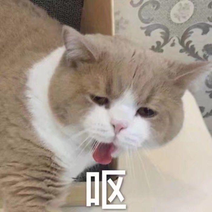 校方称菌子中毒失联的教授已离职，这事儿真没那么简单