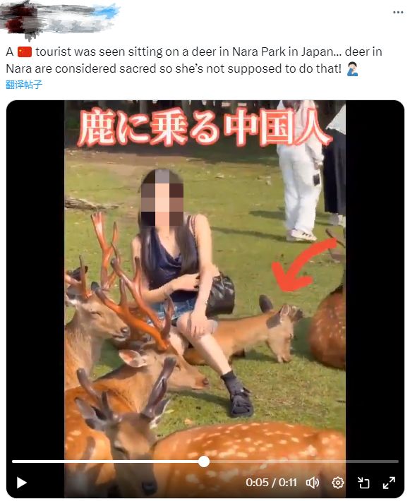 蓝网 vs 熊鹿，一场关于谁更环保的真实较量