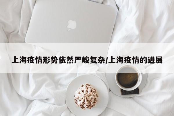 上海疫情形势依然严峻复杂/上海疫情的进展
